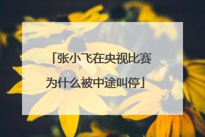 张小飞在央视比赛为什么被中途叫停