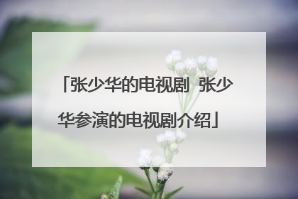 张少华的电视剧 张少华参演的电视剧介绍