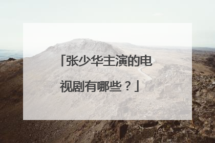 张少华主演的电视剧有哪些?