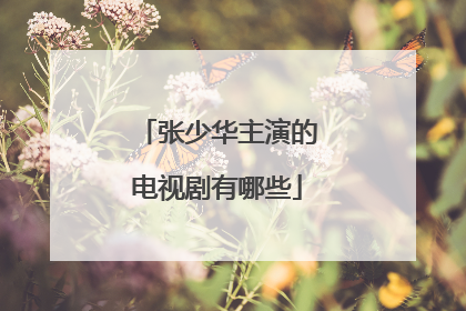 张少华主演的电视剧有哪些