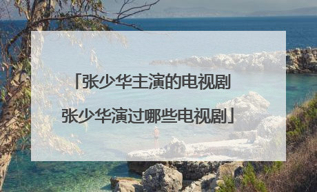 张少华主演的电视剧 张少华演过哪些电视剧