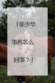 张少华事件怎么回事?