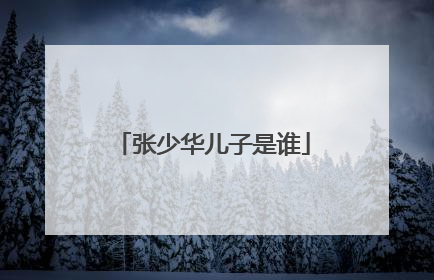 张少华儿子是谁