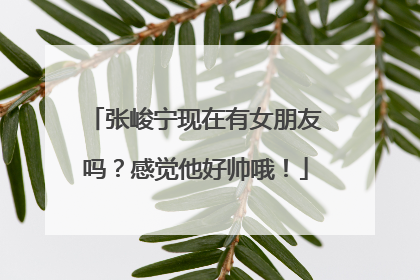 张峻宁现在有女朋友吗?感觉他好帅哦!