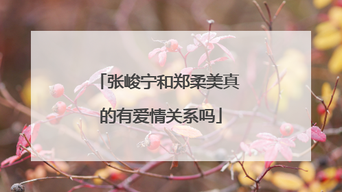 张峻宁和郑柔美真的有爱情关系吗
