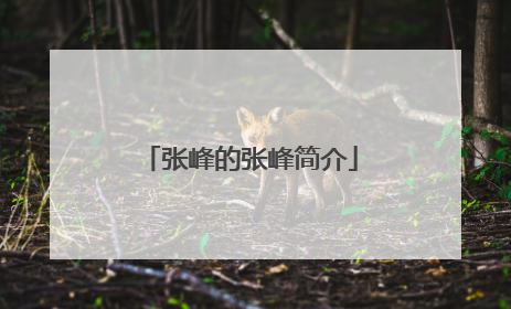 张峰的张峰简介