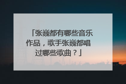 张巍都有哪些音乐作品,歌手张巍都唱过哪些歌曲?