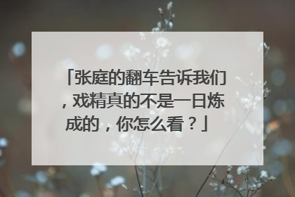 张庭的翻车告诉我们,戏精真的不是一日炼成的,你怎么看?