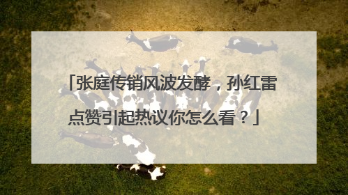 张庭传销风波发酵，孙红雷点赞引起热议你怎么看？