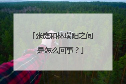 张庭和林瑞阳之间 是怎么回事？