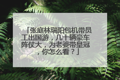 张庭林瑞阳包机带员工出国游，几十辆豪车阵仗大，为老婆带皇冠，你怎么看？