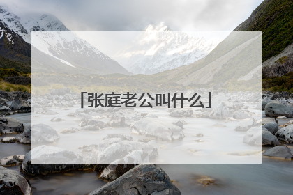 张庭老公叫什么