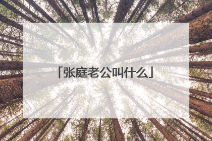 张庭老公叫什么