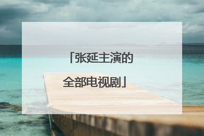 张延主演的全部电视剧