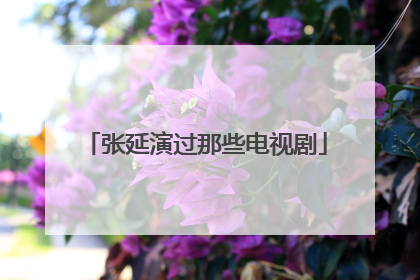 张延演过那些电视剧