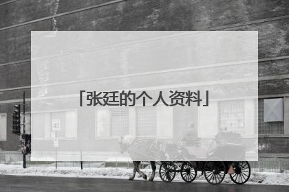 张廷的个人资料