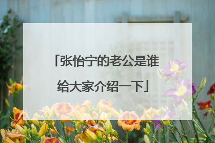 张怡宁的老公是谁 给大家介绍一下