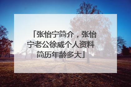 张怡宁简介,张怡宁老公徐威个人资料简历年龄多大