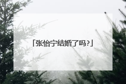 张怡宁结婚了吗?