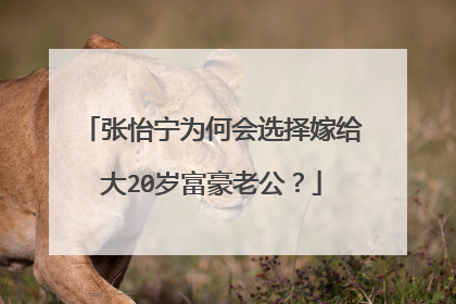 张怡宁为何会选择嫁给大20岁富豪老公?