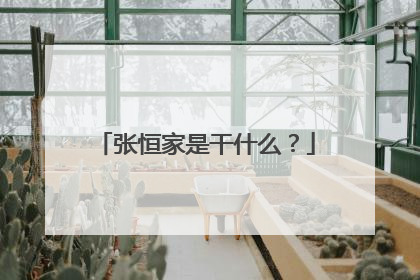 张恒家是干什么？