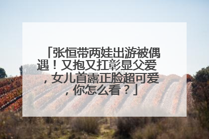 张恒带两娃出游被偶遇！又抱又扛彰显父爱，女儿首露正脸超可爱，你怎么看？