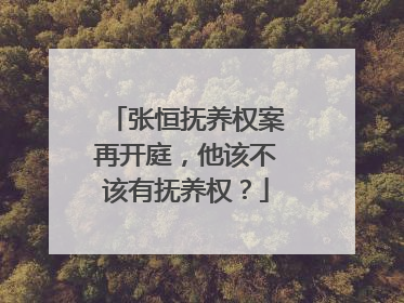 张恒抚养权案再开庭,他该不该有抚养权?