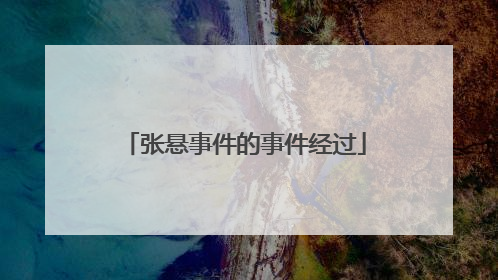 张悬事件的事件经过