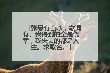 张悬有首歌,歌词有、我得到的全是侥幸,我失去的都是人生。求歌名。