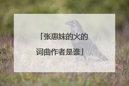 张惠妹的火的词曲作者是谁