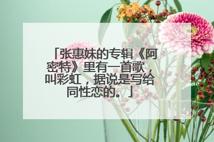 张惠妹的专辑《阿密特》里有一首歌，叫彩虹，据说是写给同性恋的。