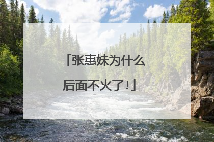 张惠妹为什么后面不火了!