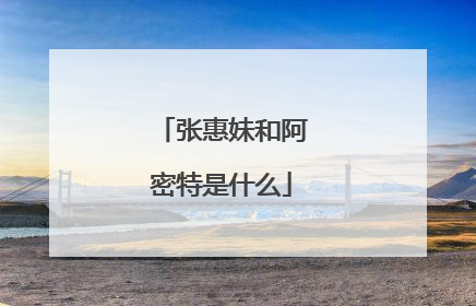 张惠妹和阿密特是什么