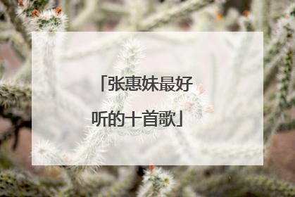 张惠妹最好听的十首歌