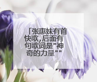 张惠妹有首快歌,后面有句歌词是
