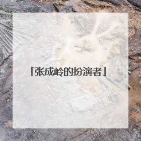 张成岭的扮演者