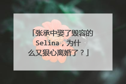 张承中娶了毁容的Selina，为什么又狠心离婚了？