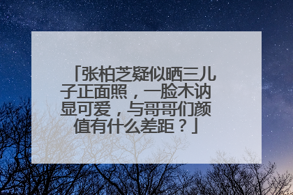 张柏芝疑似晒三儿子正面照,一脸木讷显可爱,与哥哥们颜值有什么差距?