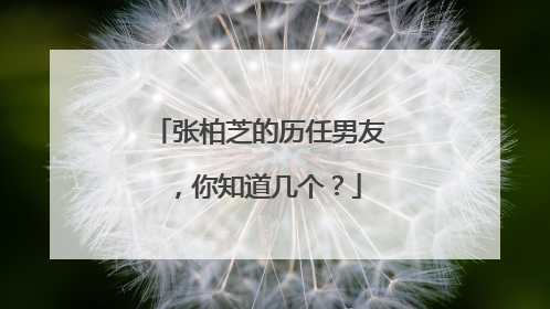 张柏芝的历任男友,你知道几个?