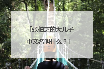 张柏芝的大儿子中文名叫什么？