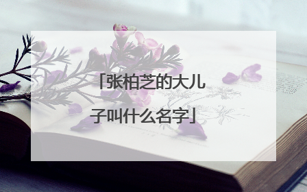 张柏芝的大儿子叫什么名字