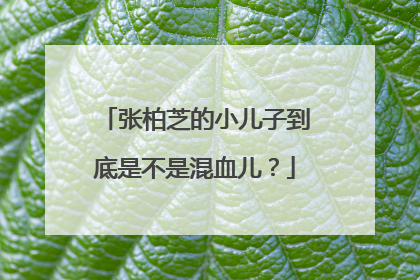 张柏芝的小儿子到底是不是混血儿？