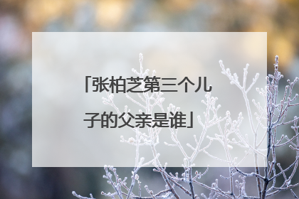 张柏芝第三个儿子的父亲是谁