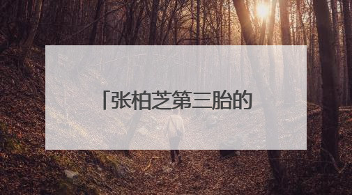 张柏芝第三胎的生父到底是谁？