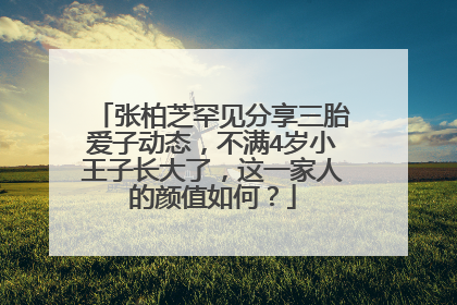 张柏芝罕见分享三胎爱子动态，不满4岁小王子长大了，这一家人的颜值如何？