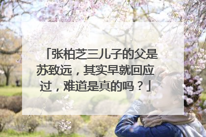 张柏芝三儿子的父是苏致远,其实早就回应过,难道是真的吗?