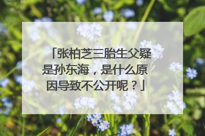 张柏芝三胎生父疑是孙东海，是什么原因导致不公开呢？