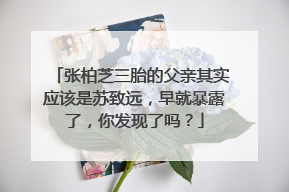张柏芝三胎的父亲其实应该是苏致远,早就暴露了,你发现了吗?
