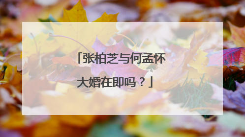 张柏芝与何孟怀大婚在即吗？
