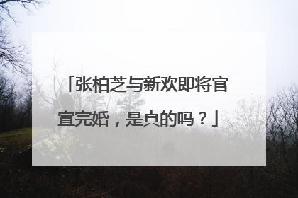 张柏芝与新欢即将官宣完婚，是真的吗？